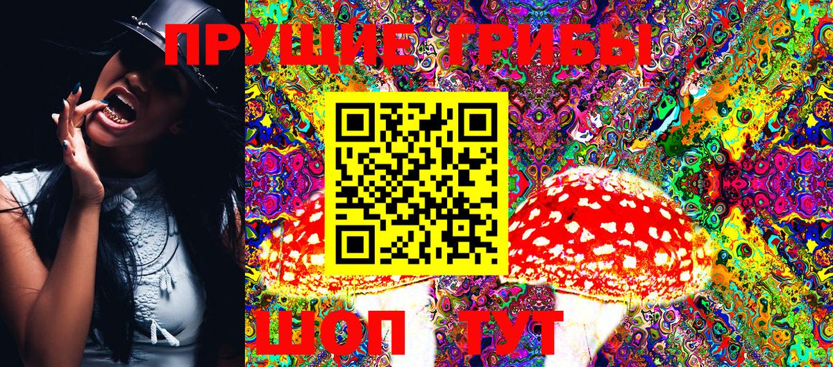 Галлюциногенные грибы мицелий  Бердск 