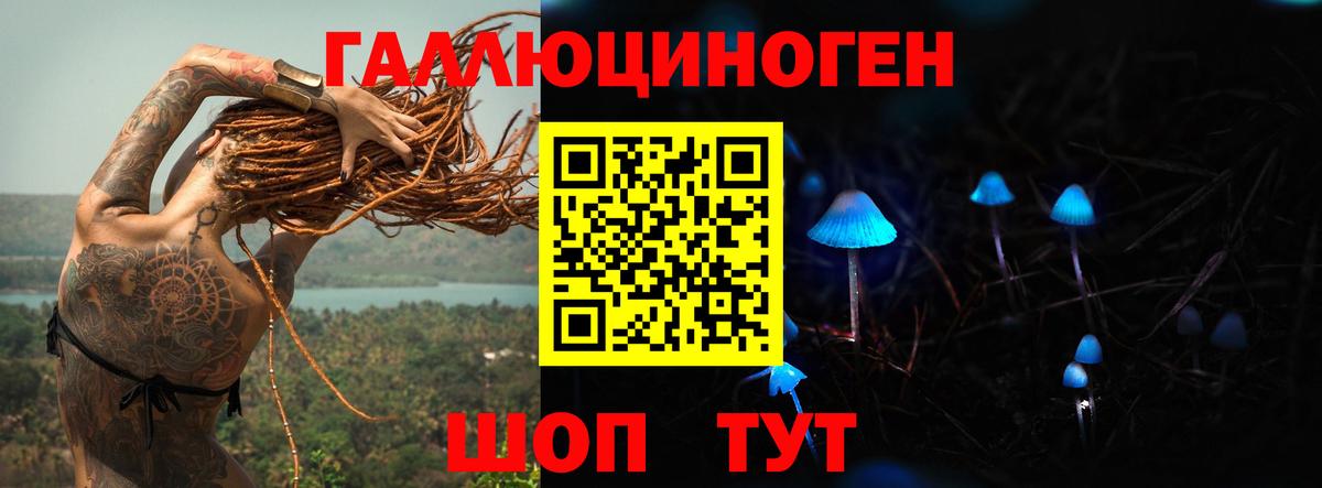 Галлюциногенные грибы прущие грибы Бердск