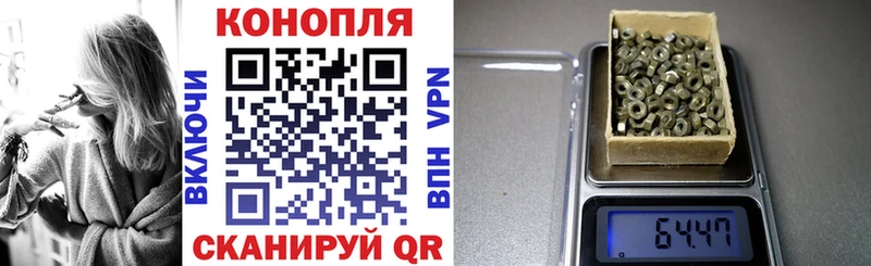 закладки Бердск Бошки Шишки семена